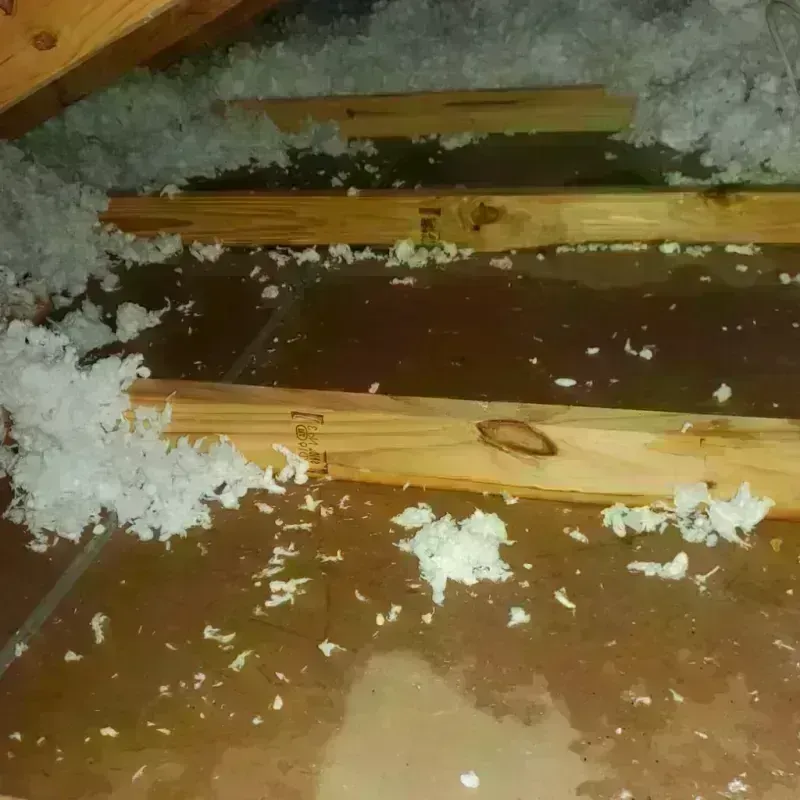 Attic Water Damage in Oak Grove, MO